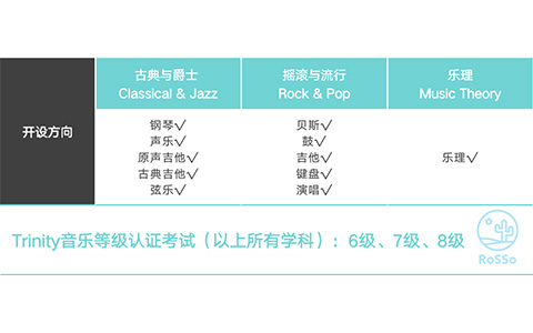 RoSSo Trinity音乐等级认证课程怎么样？